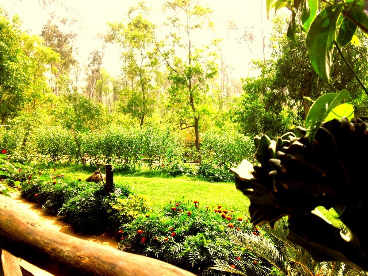 Roshnai Village Resort Bolpur Exterior foto